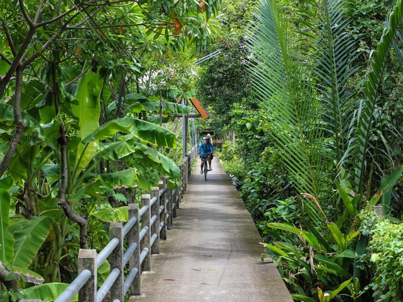 Half-Day Eco Bike Tour at Bang Kachao Samut Prakan from Bangkok - Private Tour
