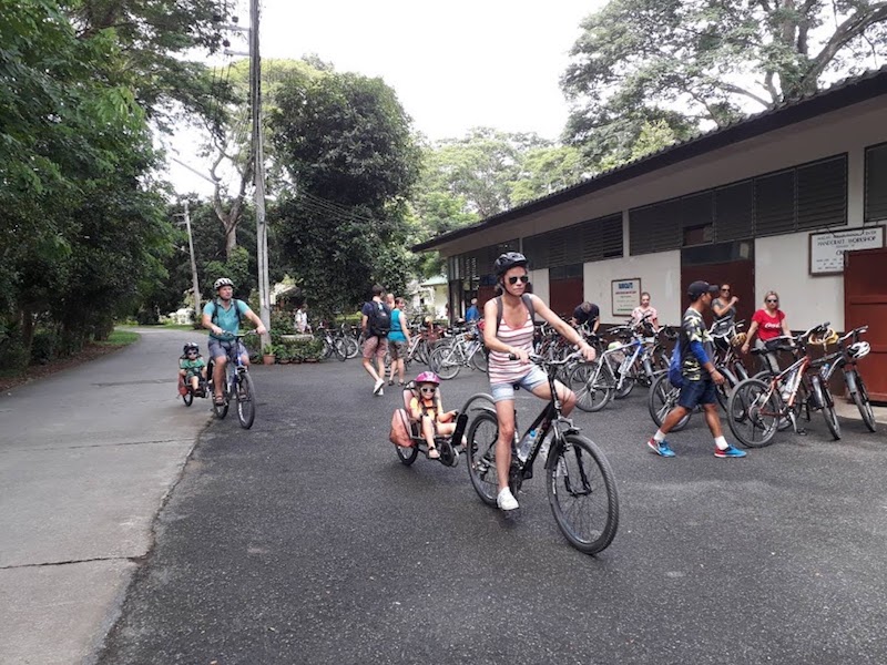 South Of Chiang Mai Cycling Tour - Joint Tour