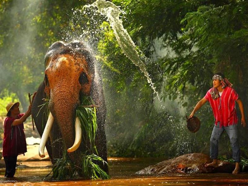 Chiang Mai Safari Private Tour from Chiang Mai - Private Tour