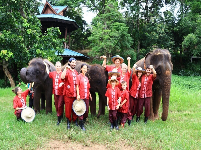 Amazing Full Day Elephant Care from Chiang Mai - Joint Tour