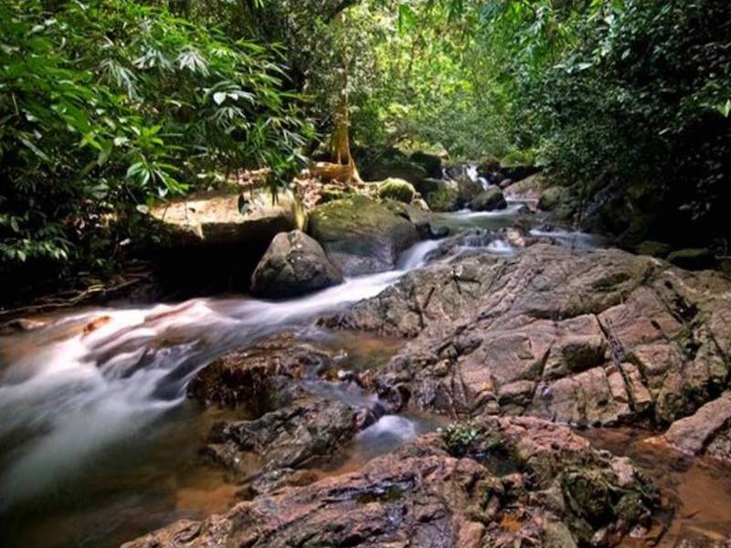 Half-Day Phuket Jungle Walk Private Tour from Phuket - Private Tour