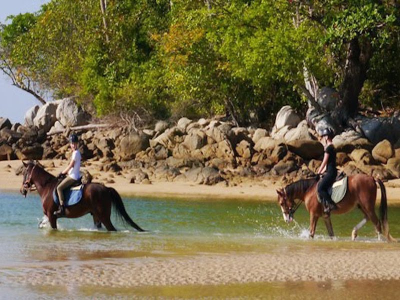 2-Hour Horse Riding in Jungles and Beaches from Phuket - Private Tour
