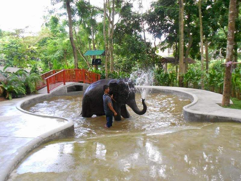 Half-Day Safari Tour with Lunch - Joint Tour